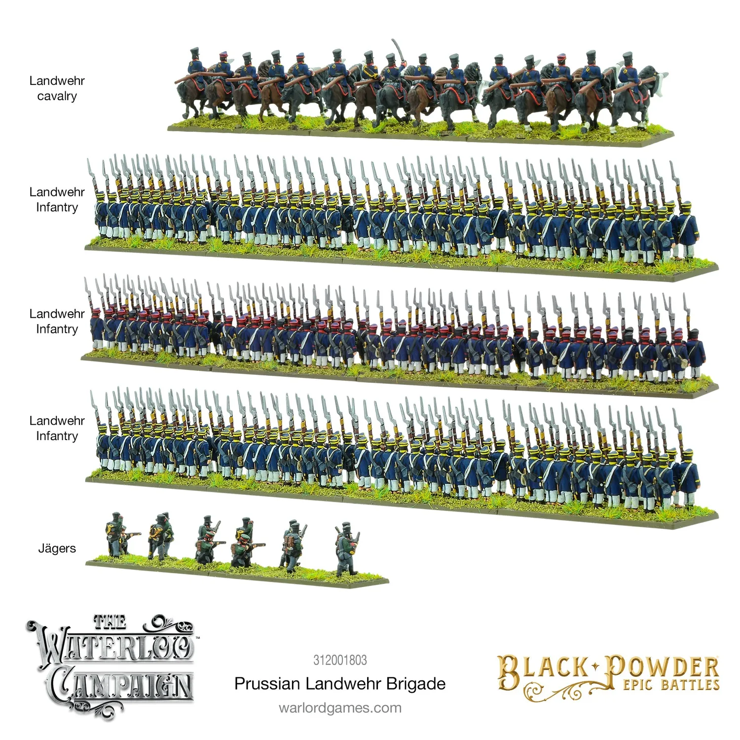 Black Powder Epic Battles Waterloo Landwehr Brigade plastique