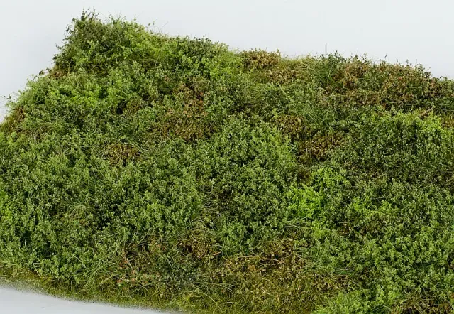 Model Scene F571 zone sauvage buissons printemps