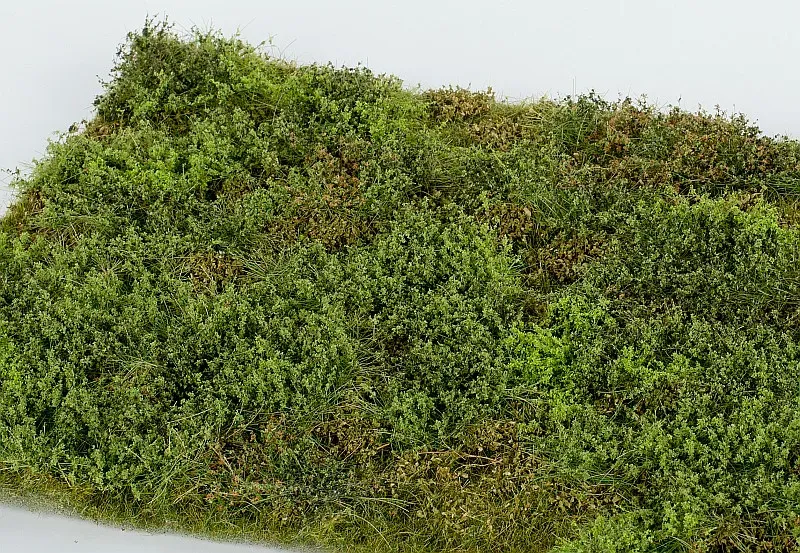 Model Scene F571 zone sauvage buissons printemps