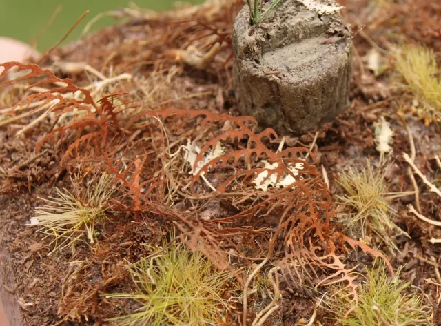 Albion Model Scene Dry Fern fougère sèche 1 pièce végétation de décor