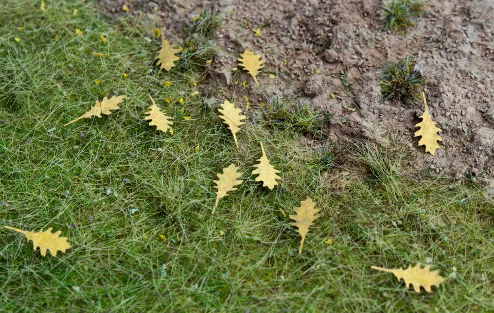 Albion Model Scene Northern Red Oak – dry leaves feuilles sèches