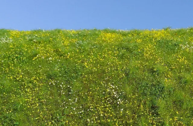 Albion Blooming Meadow – Spring décor diorama prairie fleurie 1 pièce