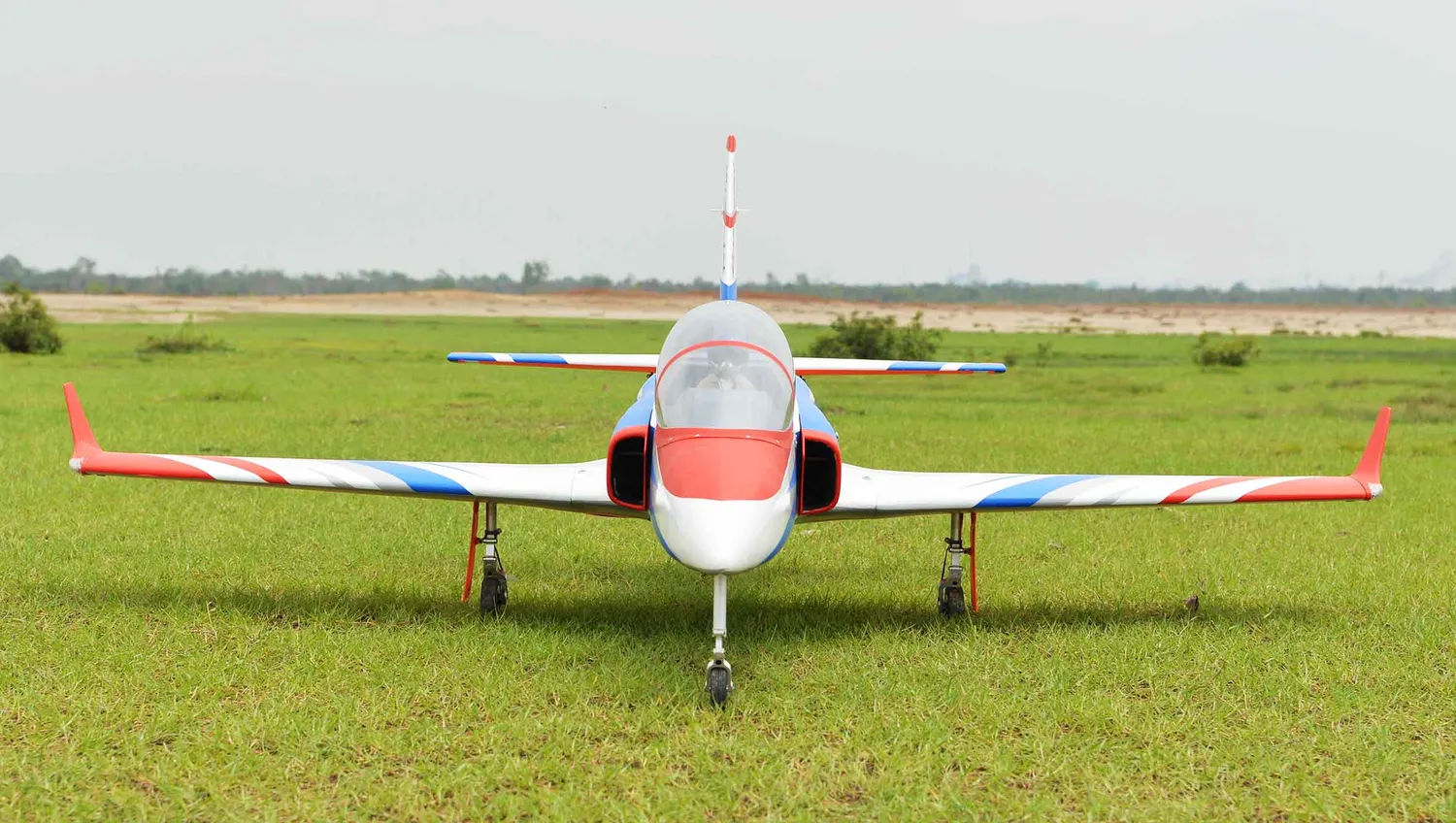 Black Horse Model BH191 Viper Jet avion RC turbine