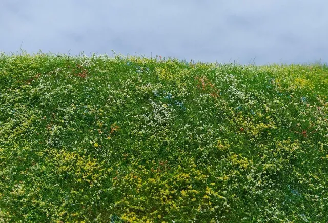 Albion Model Scene Blooming meadow – Early summer décor 1 pièce prairie fleurie