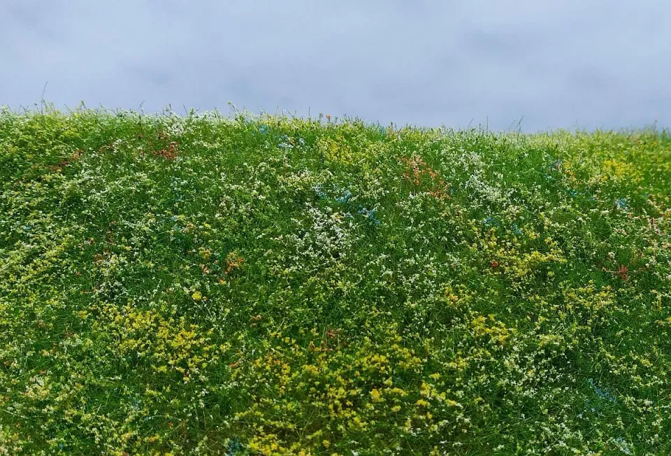 Albion Model Scene Blooming meadow – Early summer décor 1 pièce prairie fleurie