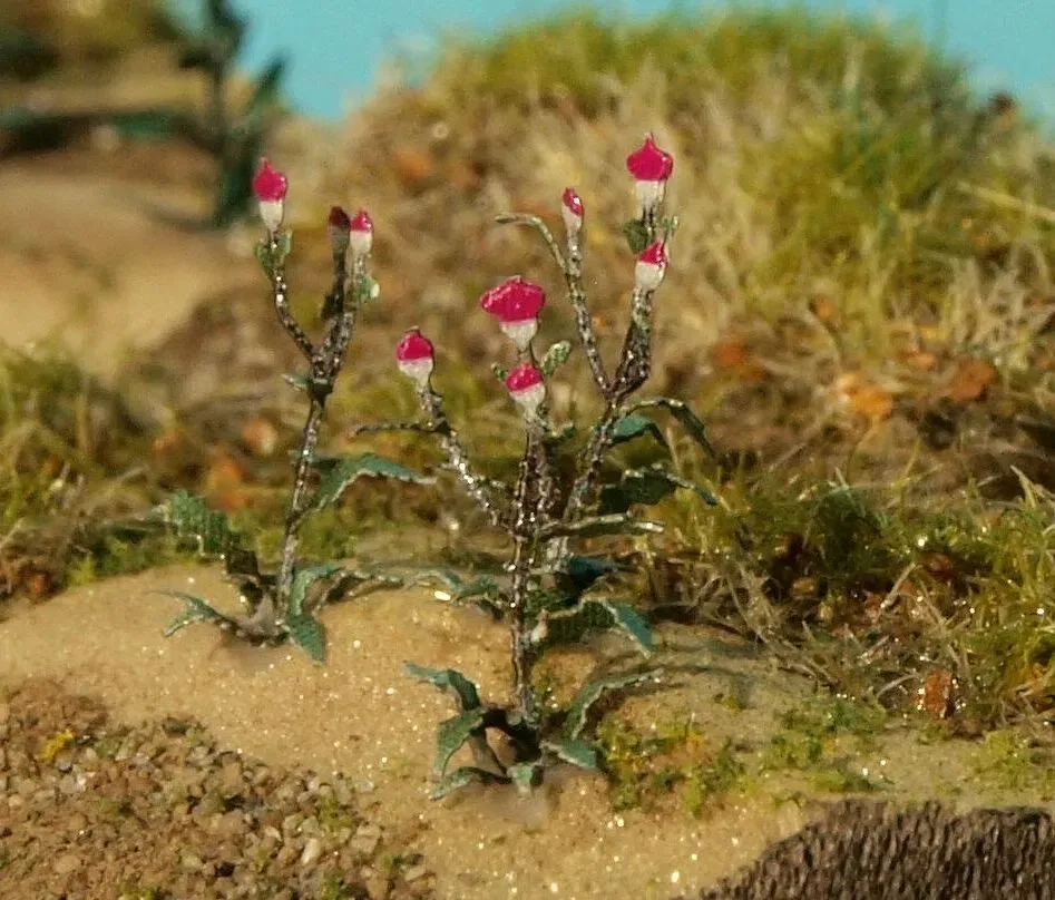 Albion Thistle chardon miniature pour diorama