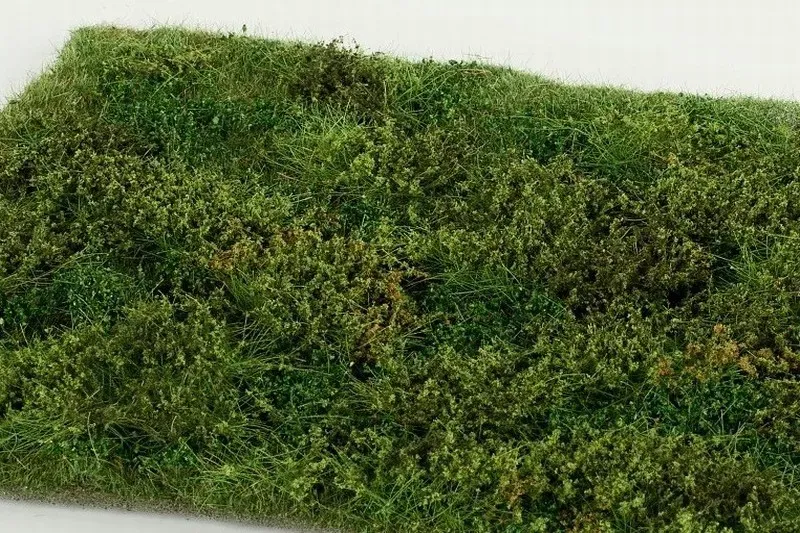 Albion Wild area with bushes early summer végétation miniature 1 pièce
