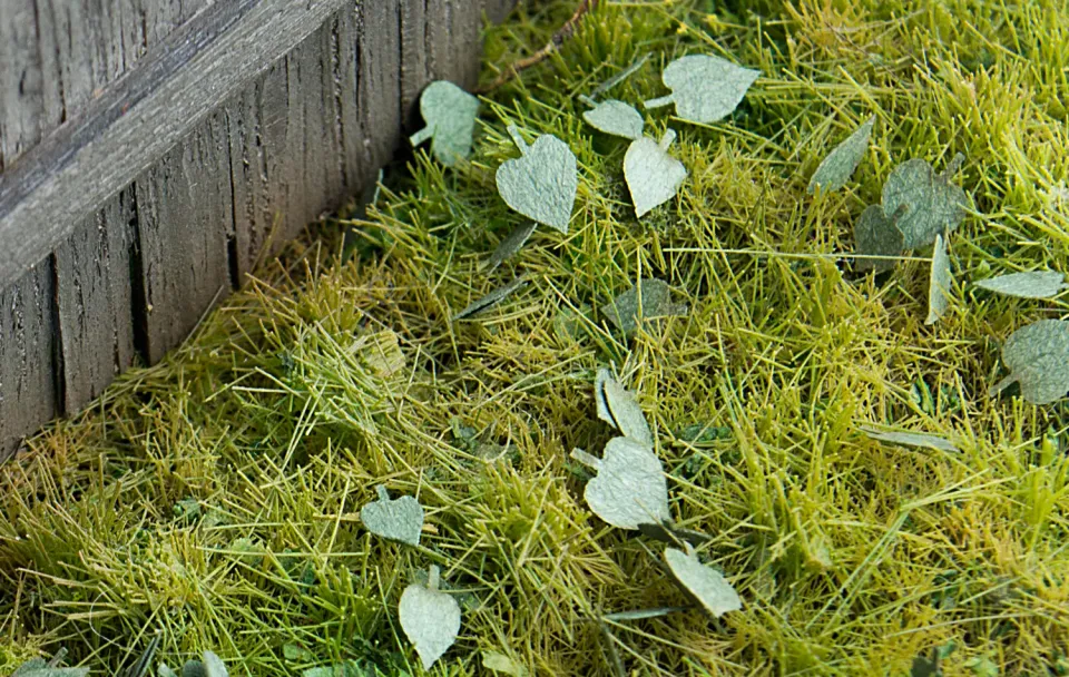 Albion L3-003 Linden green arbre miniature vert