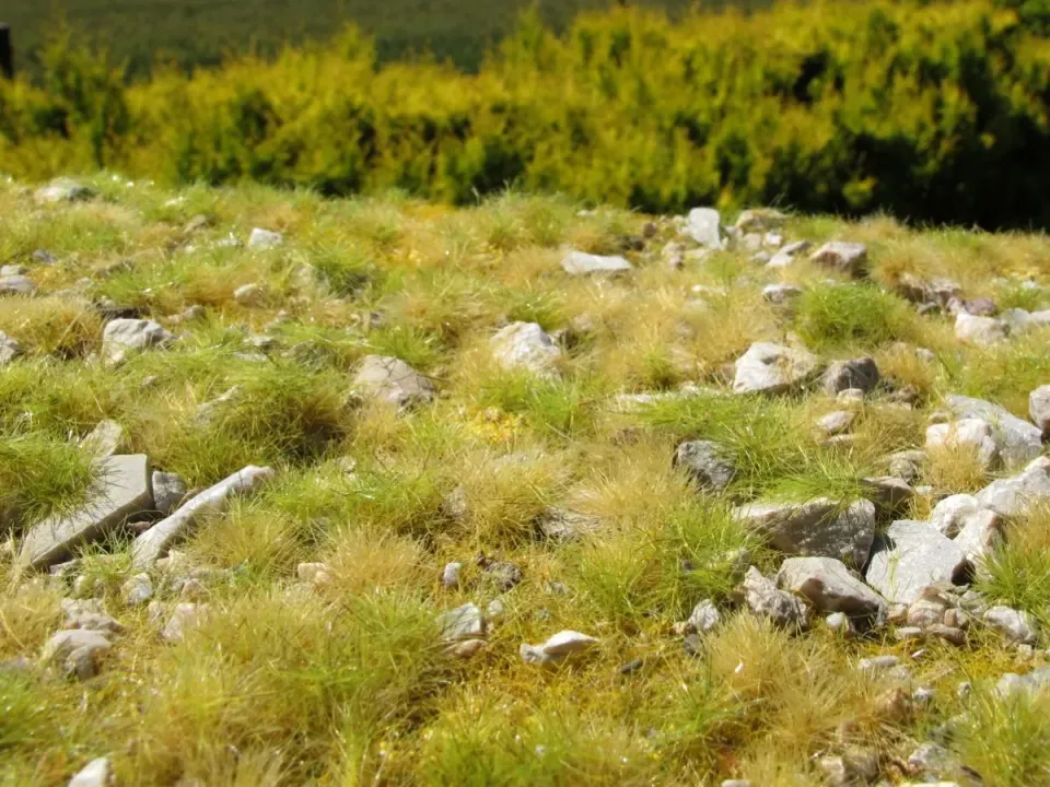 Albion Late summer, a lot of calc stones pierres calcaires décoratives