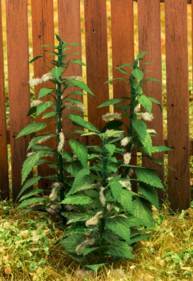 Albion Nettle 1:35 ortie miniature 1 pièce végétation