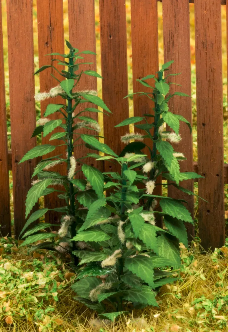 Albion Nettle 1:35 ortie miniature 1 pièce végétation