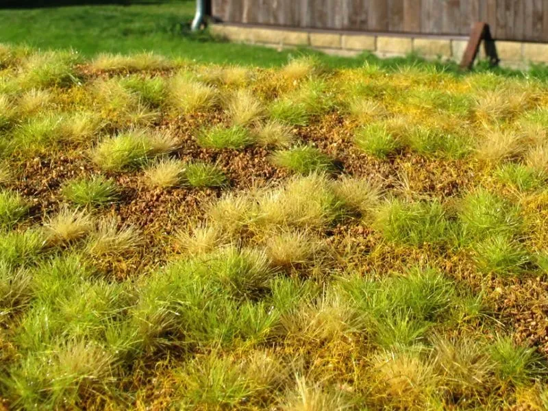 Albion Steppe unwatered late summer décor miniature